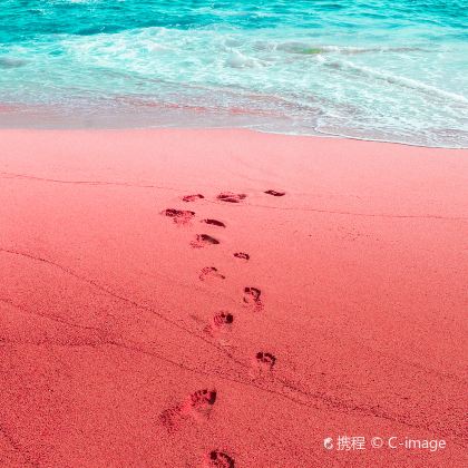 印度尼西亚巴厘岛+科莫多+佩妮达岛+罗威纳海滩7日6晚跟团游