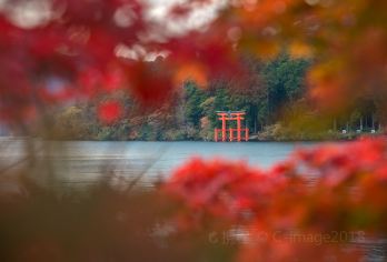 箱根神社+芦之湖+大涌谷+箱根汤本温泉一日游【中文专车】【[当地中文司导，行程可调]】