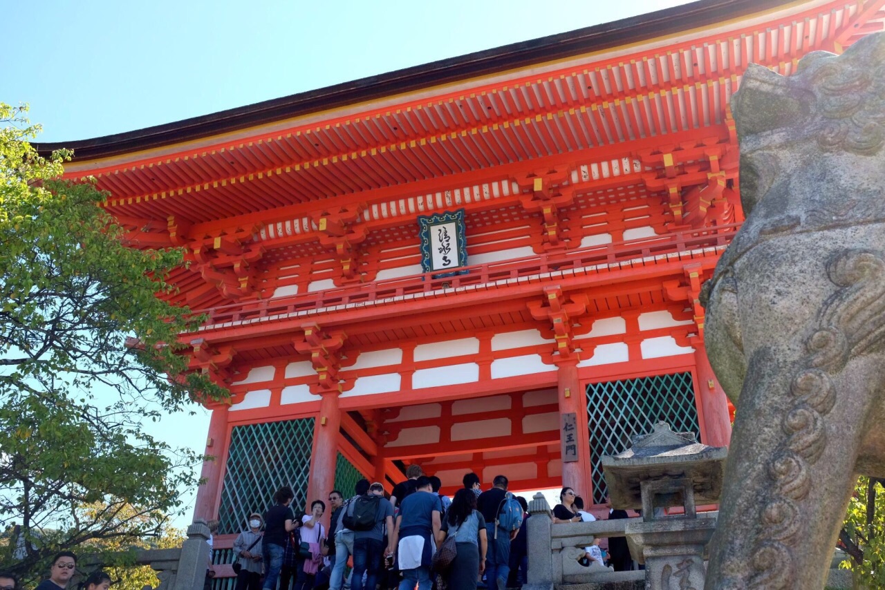 京都必打卡 | 春天赏樱秋天看枫的最美「清水寺」