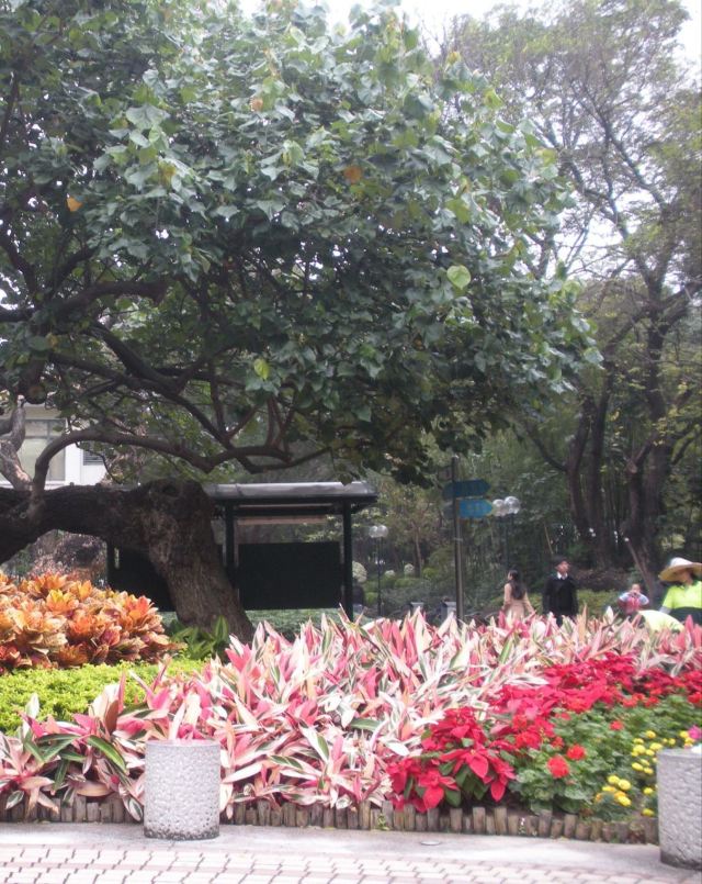 Kowloon Park