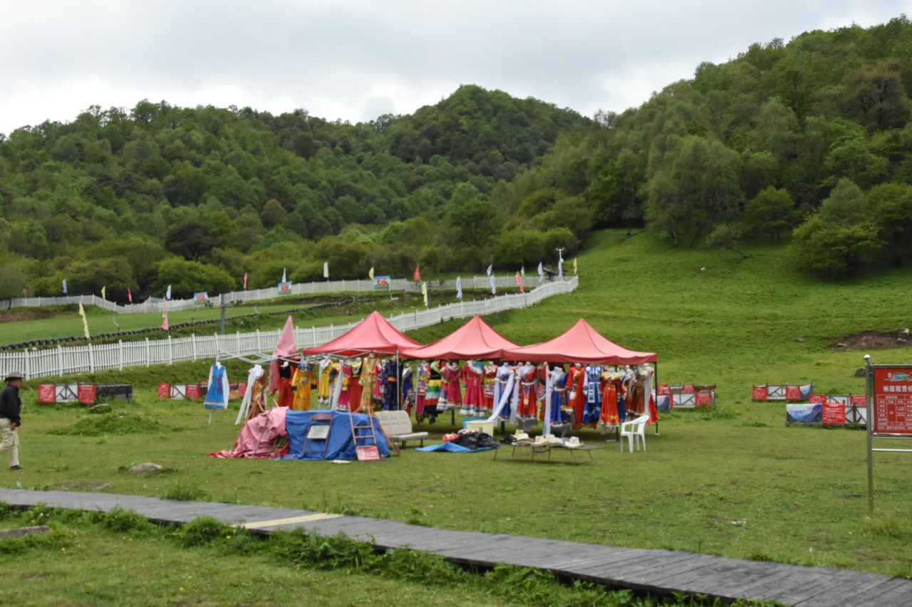 畅游大水川，替周天子喂个马