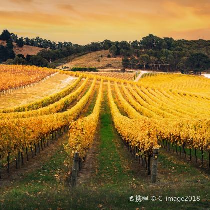 西澳大利亚珀斯蓝色船屋+巴瑟尔顿栈桥+尖峰石阵+赫特泻湖+红崖6日5晚拼小团