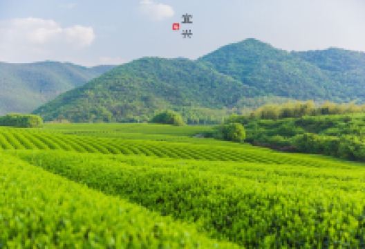 龙池山自行车公园景点图片