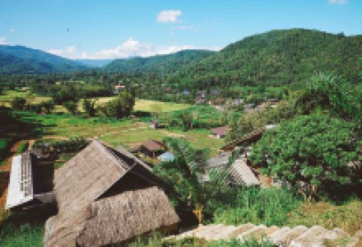 Ran-Tong大象保护中心景点图片