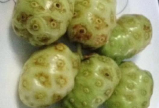 Bone Gyi美食图片