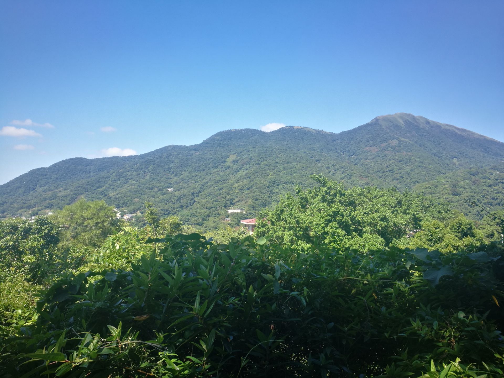 竹子湖觀景台