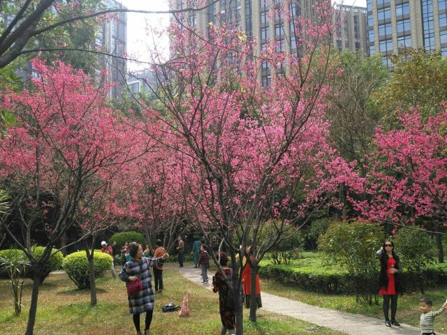 Zhujiang Park