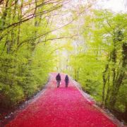 百里皇后的西凉镜子