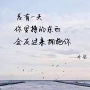 我是王宇红我不是大头