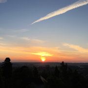 风随心动一叶知