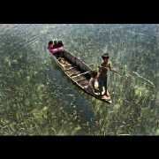 梦想能成真的小欣欣