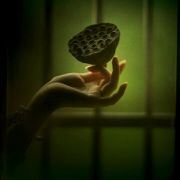 勉力的失落之都