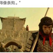 寻找曙光的小窝