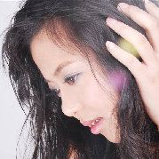 柳树上的青李子