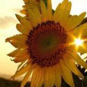 瑶瑶遥遥不可及