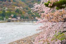 岚山-京都-尊敬的会员