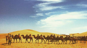 库布齐沙漠游记图文-拥抱塞外狂沙——首次来呼和浩特必看攻略