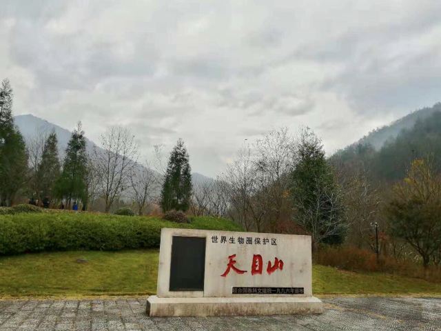 天目山景區