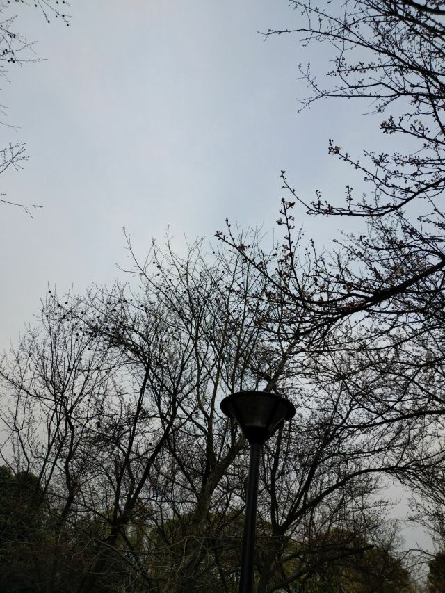 Aberdeen Country Park
