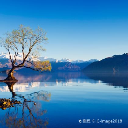 新西兰皇后镇+基督城+特卡波湖+瓦纳卡+箭镇+克伦威尔+库克山7日拼小团