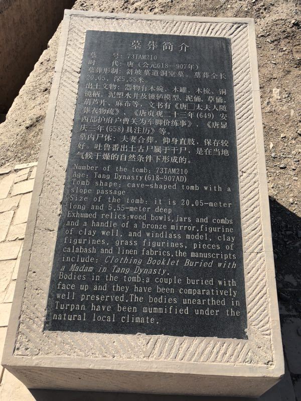 阿斯塔那古墓群(暂停开放)旅行图片 3