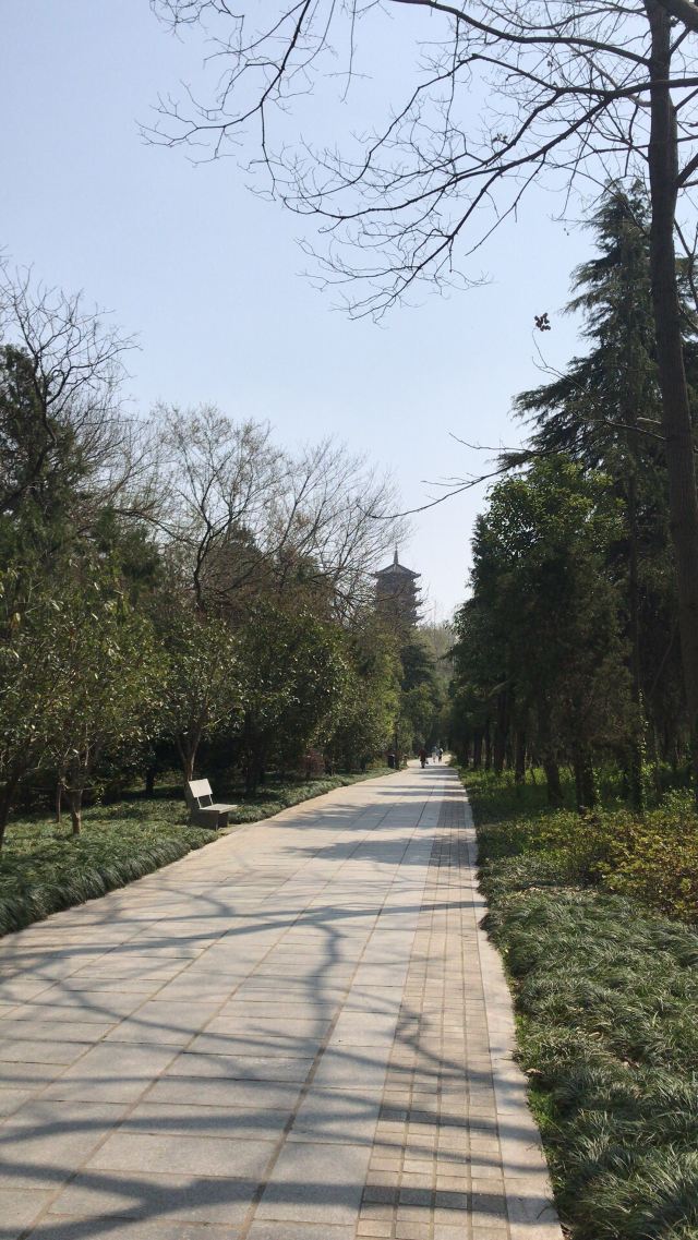 南屏山森林公园