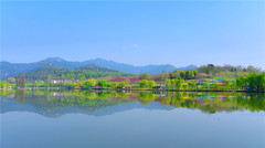 武汉游记图片] 武汉最浪漫的景区，位于黄陂，自驾过去不到1小时！
