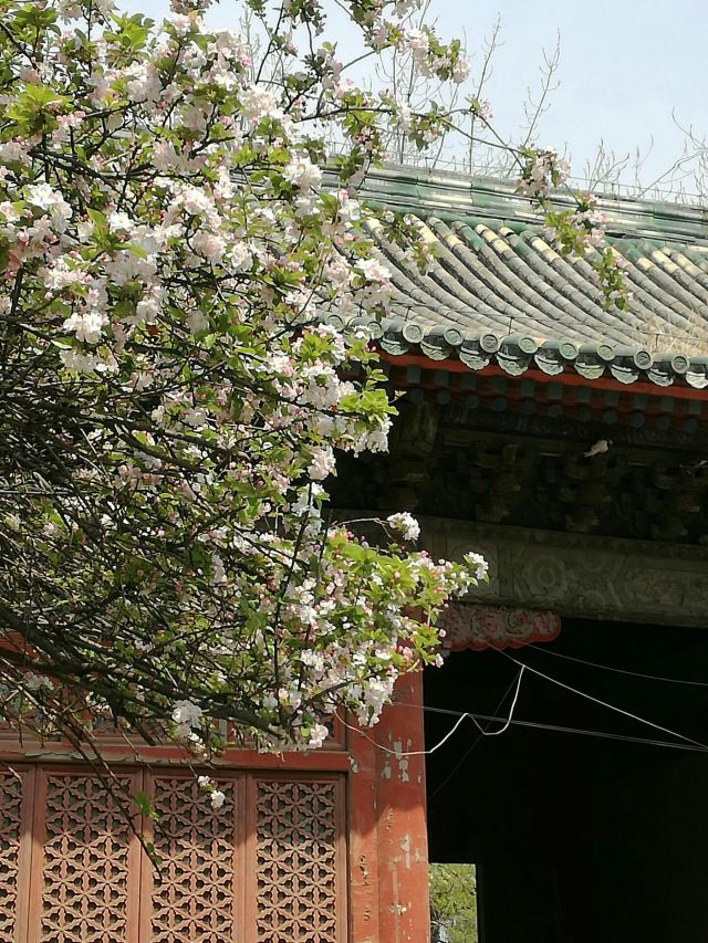 孚王府(不对外开放)旅行图片 2