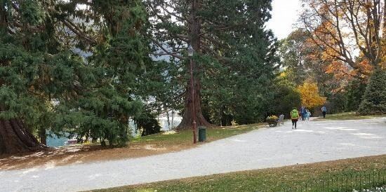 皇后鎮花園