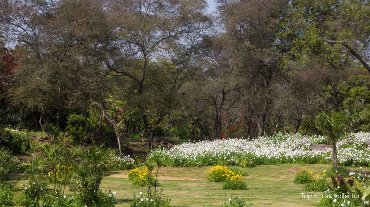 Buddha Jayanti Park Travel Guidebook Must Visit Attractions In