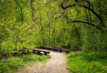 Blackstone Hiking Trail景点图片