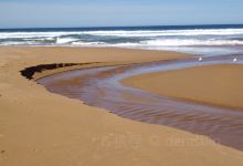 Alburg Dunes State Park景点图片