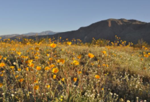 Spur Cross Ranch Conservation景点图片