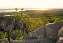 Warton Crag景点图片