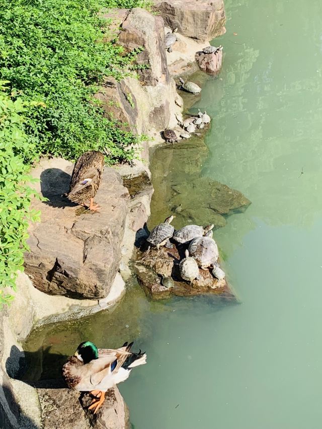 爐峰禪寺