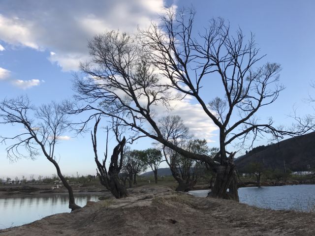 黄龙潭公园旅行图片 1