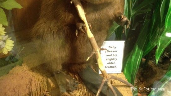 Southern Pines Golf Club Travel Guidebook Must Visit Attractions