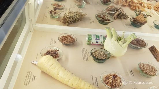 Museum Of Economic Botany