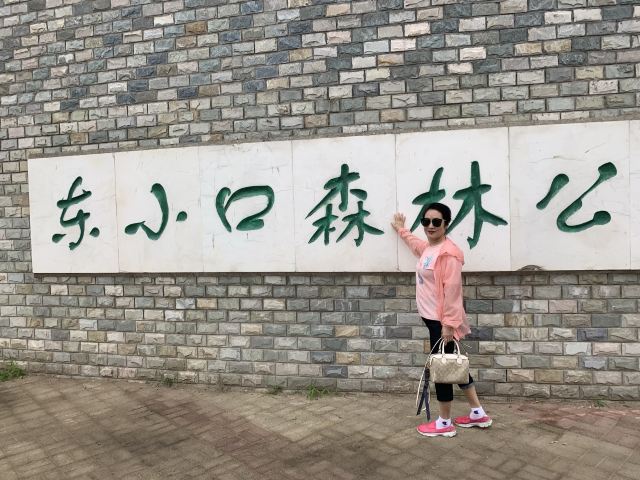 奥北森林公园二期北区旅行图片 2