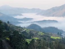 黄山-Cherry2009