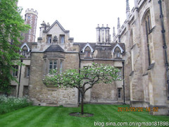 剑桥游记图片] 苹果树前：想起了牛顿