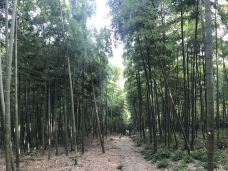 莫干山风景区-天桥-德清-wzchcjy