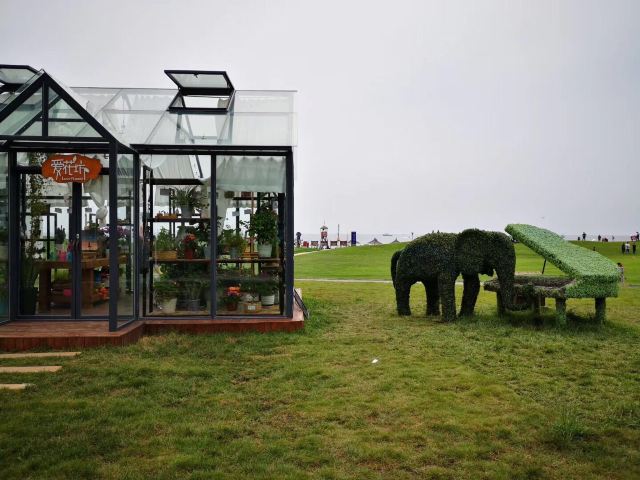 阿卡小镇海岸白帆旅行图片 4