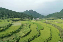 贵州游记图片] 绿水青山，亲子结伴流连醉美贵州。