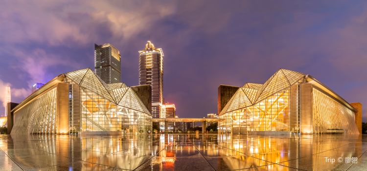 Shenzhen Concert Hall Tickets Deals Reviews Family - 