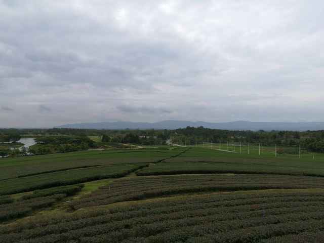 Boon Rawd Farm (Singha Park)