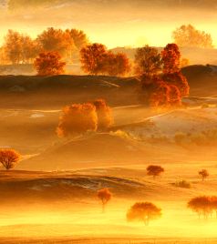 塞罕坝游记图文-金山岭、塞罕坝、乌兰布统、雾灵山，追逐这个秋季中国最美的秋色