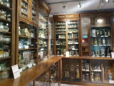 森肯贝格自然博物馆-法兰克福-我程咬金和白起贼6