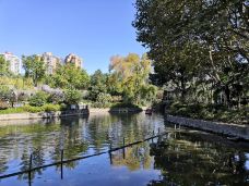 和平公园-上海-BetTerDAY