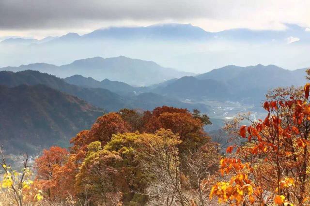 马鬃岭景区旅行图片 1